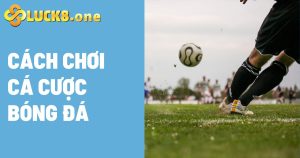 Cách chơi cá cược bóng đá tại nhà cái Luck8 cho tân thủ